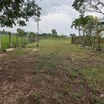 đất xây kho xưởng 3200m2 đất skc mặt tiền đường long hòa phước vân, cần đước long an