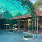 Bán Nhà Mặt Tiền Đường Đườngdiện Tích746 Tân Định Bắc Tân Uyên Bình Dương Diện Tích: 742M2 Giá Bán 5.2Ty