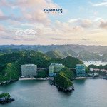 Cc Cắt Lỗ 1 Tỷ Căn Hộ View Biển Nhất Đẹp Flamingo Cát Bà, Nội Thất Cao Cấp, 40M2, Pháp Lý Rõ Ràng.