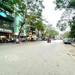 Bán Nhà Mặt Phố Lê Thanh Nghị- Bách Khoa- Trần Đại Nghĩa- Vip Nhất Hai Bà Trưng
