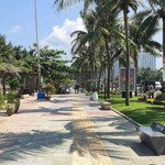 Nhỉnh 15 tỷ: bán đất gần biển sơn trà đà nẵng - lô góc - gần đg võ nguyên giáp: 210m2 = 15m x 14m