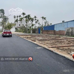 Mặt Ngõ Trải Nhựa Tại Hoà Nghĩa, Dương Kinh