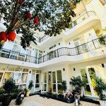 Bán Biệt Thự Đảo Ngọc Không Gian Hồ Tây Khu Quảng An, Ô Tô Vào Nhà 166M2 Mặt Tiền 11.3, Giá: 50 Tỷ