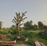 Bán Đất Tại Xã Tiên Trang, Quảng Xương, Thanh Hóa, Giá Siêu Hời 2,25 Tỷ, 137,5M2