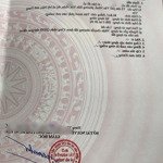 Bán Đất Tại Van Nhue, Thị Trấn Bần Yên Nhân, Hưng Yên, 4,1 Tỷ, 80,5M2 Giá Siêu Hời