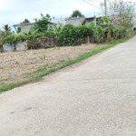 Bán Đất Tại Xã Thụy Ninh, Thái Thuỵ, Thái Bình, Giá Ưu Đãi 830 Triệu, 100M2