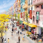 Liền Kề San Cô Còn Rất Ít Căn, Bác Nào Có Dự Định Mua Vin Sớm Xuống Cọc Thôi Ạ