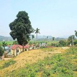 Siêu Phẩm Nghỉ Dưỡng Tiến Xuân, Thạch Thất Là Đây - View Cánh Đồng, Đồi Núi Đẹp Như Tranh Vẽ