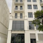 Bán Nhà Phố Vinhomes Grand Park Vị Trí Đẹp, Giá Tốt Nhất Phân Khu!