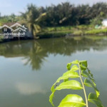 Bán 2590M2 Đất Nông Nghiệp Hẻm Xe Hơi P28 Bình Thạnh Khu Vực Tiềm Năng Tăng Giá Cao