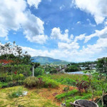 Bán Lô Đất Ngộp Ngay Khu Dân Cư Giá Cực Ưu Đãi