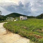 25 Nền Lộc Thành - Bảo Lâm - Thích Hợp Đầu Tư