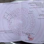 Bán Đất Tân Thành Cành Chẽ, Khu Mới Đấu Giá Tại Đảo Hoàng Tân
