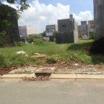Chính Chủ Cần Bán Gấp Đất Gần Co. Opmart Bạc Liêumặt Tiềnđường 3 Tháng 2 Phường 1 Bạc Liêu 120M2 Shr