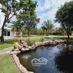 Nam Việt Á Villa 3 Mặt Tiền, 11 Phòng Ngủ 464M2 Đất Sổ, Sân Vườn 1600M2, Chỉ 50 Tỷ Dương Tử Giang.