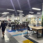 Cho Thuê Nhà Nguyên Căn Phố Trần Thái Tông,Cầu Giấy,Hà Nội, Diện Tích: 35M X 4 Tầng,Giá 16 Triệu/Tháng