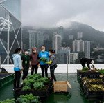 Cho Thuê Văn Phòng Phố Bạch Mai,Hai Bà Trưng,Hà Nội,Dtsd 65M2,Giá 10,5 Triệu/Tháng, Thông Sàn,