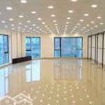 Cho Thuê Vp Tại Tòa Nhà Mipec Tây Sơn,Đống Đa,Hn, Diện Tích: 50M2-1000M2,Giá 245K/M2