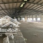 Cho Thuê Kho Xưởng Đường Phượng Bãi, Biên Giang, Hà Đông, Gần Ql6Diện Tích2500M2, 5000M2. Liên Hệ: 0963596146