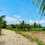 Bán 2177m2 đất ninh thọ, ninh hoà. có 400m2 đất ở. mặt tiền 33m. giá chỉ: 3.5 triệu/m2