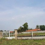 Chính chủ cần bán gấp 1006m2 có sẵn 300m2 thổ cư, sổ hồng riêng, đường ô tô