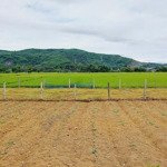 Bán lô đất vườn đẹp tại hòa nhơn, hòa vang, đà nẵng. lh 0968678943