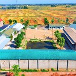 Chính chủ cần cho thuê kho nhà xưởng 6000m² ngay quốc lộ 1a tại hà tĩnh. liên hệ: 0985245749