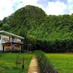 Cần bán lô đất vườn 1200m2 có 300m2 đất ở có sẵn căn nhà vườn trên đất khí hậu xung quanh mát mẻ