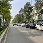 Chính chủ bán shophouse 90m2 vinhomes thăng long, an khánh, hoài đức, hà nội