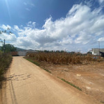 đất liên hiệp đức trọng - cách tuyến tránh ql27 chỉ 600m, gần sân bay liên khương