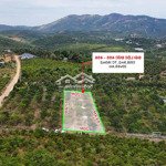 Bán đất thổ cư lộc đức bảo lâm.diện tích1358,9 m2 (20m x 69,5m). đường nhựa. giá bán 2 tỷ 330 triệu.hàng hot