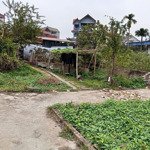Bán Đất Tại Làng Nghề Hoa Tích Giang, Huyện Phúc Thọ. Cách Đường 32 Chỉ 200M. Giá Đầu Tư Chỉ 1,18Tỷ