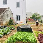 Bán 50M2 Đất Xã Phúc Hòa, Phúc Thọ, Hà Nội. Cách Đường Ô Tô Tránh 20M. Vị Trí Trung Tâm Của Xã