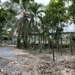 Bán 5009 m2 đất ở ấp rừng dầu, mỹ hạnh bắc, đức hòa, long an