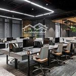 Siêu vị trí! bán nhà 2mt hẻm trước sau trương quốc dung (7,8x14,1m) 4 tầng, 7 phòng. giá 20,5 tỷ tl