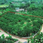 Bán Gấp Bán Gấp Bán Đất Tại Thanh Sơn, Lương Sơn, Hòa Bình, 2,1 Triệu / M2, 3000 M2 - Chính Chủ Hot