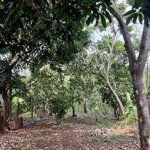 5,4 Sào Đất View Hồ Trong Đó Có 400M Đất Thổ Cư Tại Xã Cư Bao, Thị Xã Buôn Hồ