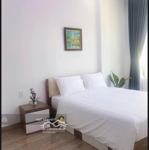 Chính Chủ Bán Tòa Căn Hộ 5 Tầng Mới Xây Dựng Trước Dịch Covid. Phạm Cự Lượng , Sơn Trà , Đà Nẵng