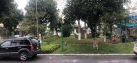 ảnh 2