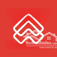 ảnh 2