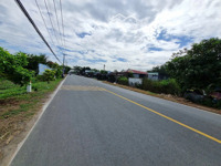 ảnh 2