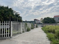 ảnh 2