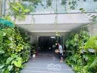 ảnh 2