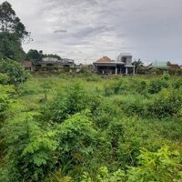 Bán 3000m2 đất đẹp xã Thạnh Phú , Vĩnh Cửu , Đồng Nai,