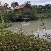 Bán Gấp Homestay Buôn Đôn Daklak, Đẹp Lung Linh, 6200M, Sổ Đỏ Chính Chủ, 2.1 Tỷ