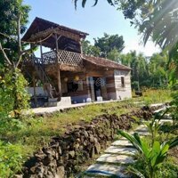 Bán Gấp Homestay Buôn Đôn Daklak, Đẹp Lung Linh, 6200M, Sổ Đỏ Chính Chủ, 2.1 Tỷ