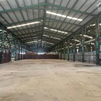 Cho thuê kho xưởng 3000m2- 20.000m2 đường Trần Đại Nghĩa, P. Tân Tạo, Quận Bình Tân