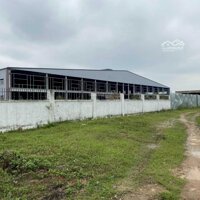 Bán Nhà Máy Hơn 5.5 Ha, Nhà Xưởng Thép 24.000M2, Nhà Văn Phòng 750M2 Tại Khu Công Nghiệp Tam Nông