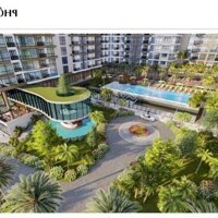 Mở Bán Căn Hộ Miamia Homes Vũng Tàu - Căn Hộ Đồi Dừa Hưng Thịnh