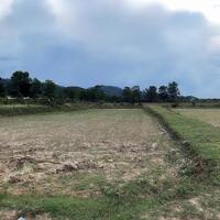 Bán đất ruộng rẫy giá rẻ Tân Tiến - Krong Pắk Đắk Lắk